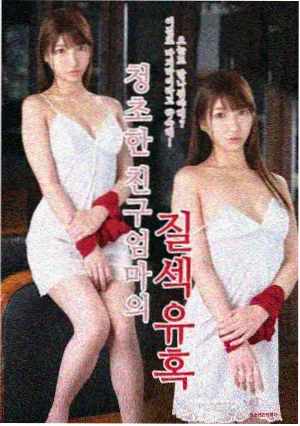 巷子里的四季 国产都市剧在线观看